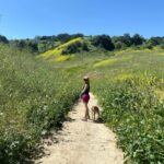 Melissa Villaseñor Instagram - Mustard weed and booty in superbloom 🤣