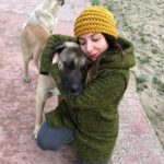 Meltem Yılmazkaya Instagram - Süslü cümleler kurmaya gerek yok. Uyutmak , öldürmek demek. Senin canini veren baska yaradan mi? #katliamyasatasarısınahayır #sokakhayvanları