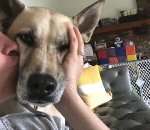 Mercedes Mason Instagram - Dear Yogurt,

You were the bestest boy. My heart is shattered yet again. Another fur baby, gripped by bone cancer, waits for me at rainbow bridge. You were my shadow, my buddy, my crazy fart machine squirrel killer cat molester. I miss you already. I can’t wait to nuzzle that face when we meet again. I love you Yogurt. 

Rest In Peace big boy. Mama loves you always. 💔💔💔

(And yes, that’s a sanitary pad stuck to his backside in the last photo….#kids)