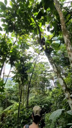 Meriam Bellina Instagram - Kabur ke hutan dulu deh