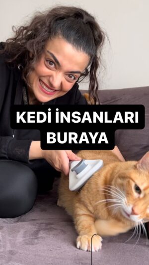 Merve Polat Instagram - KEDİLİ KADIKÖYLÜLERE GÖNDER 🐈‍⬛