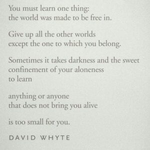 Mia Serafino Instagram - I liked this. (sweet darkness by David Whyte)