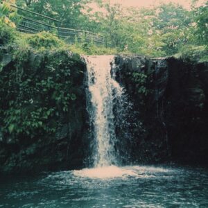 Mia Serafino Instagram - hawaii on film