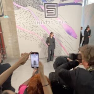 Micaela Wittman Instagram - PFW dump