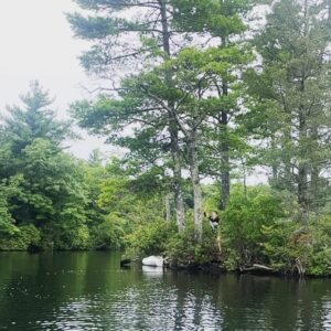 Michaela McManus Instagram - New England/England summer.