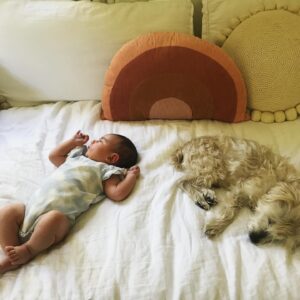 Michaela McManus Instagram - Fifteen years of you sleeping in the crook of my knees every night. I will forever miss you, Sully. Rest easy, little love. The sweetest dog that ever lived. 🤍