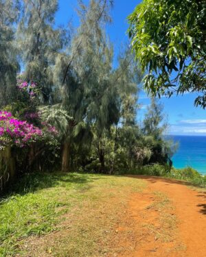 Michele Plaia Instagram - 🤫 beach