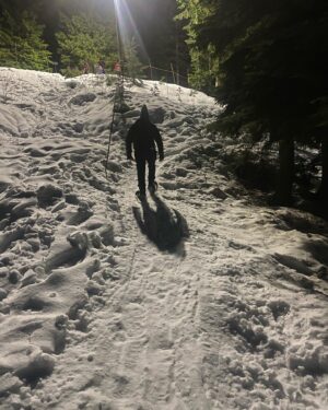 Michelle Harrison Instagram - Mountain beauty on snowshoes. Perfect night! ✨💗