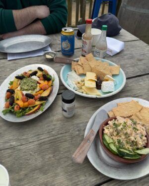 Michelle Macedo Instagram - 🍷Last weekend in Napa for @bottlerocknapa was lightning in a bottle✨Along with seeing Stevie Nicks   St. Vincent 🌱We had some grand adventures which included a sweet golden retriever named Winnie running up to me in the middle of a field of wildflowers @heidrunmeadery 🌻and the best oysters at @hogislandoysterco 🦪and a run in with @thatkevinsmith ❤️thanks @turtletaubq for being our NorCal guide