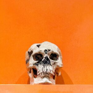Michelle Macedo Instagram - “No hay mal que por bien no venga.” 💀🧡 
@jasonperlman