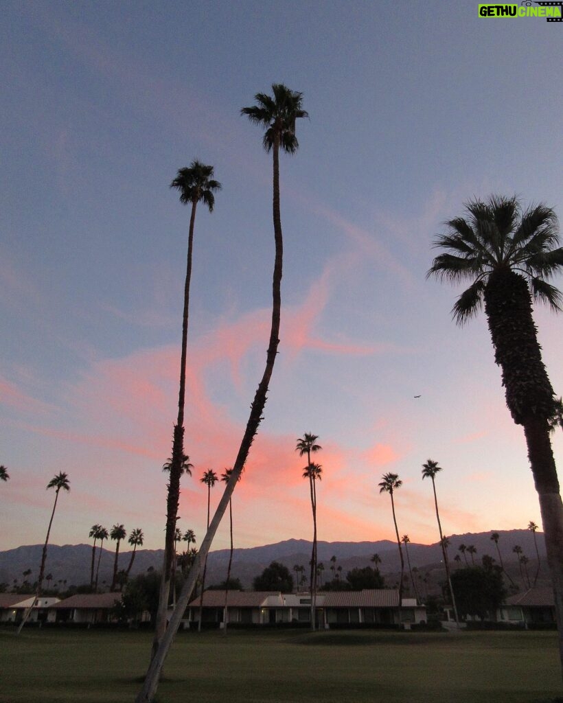 Michelle Mylett Instagram - rancho mirage last November.