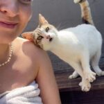 Miisa Rotola-Pukkila Instagram – Ystävä palasi!!!😭🩷🌸🐈

Jo neljäs jälleennäkeminen samalla villalla katujen kasvatti Mazepinin kanssa. Mikä molemminpuolinen riemu siitä repesikään!🥹