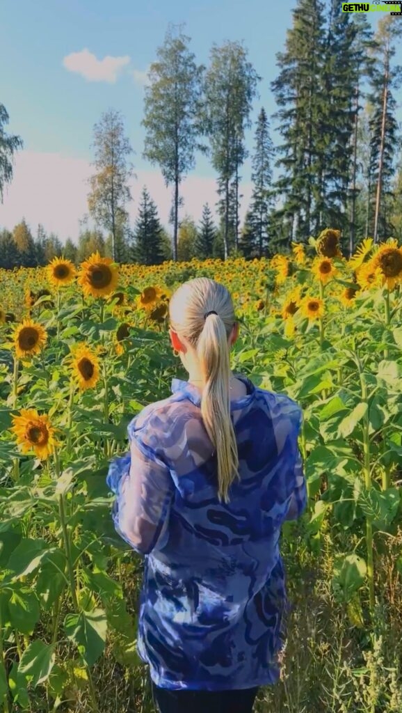 Miisa Rotola-Pukkila Instagram - Viikonloppu kotikotona Keuruulla🌻💛🐾