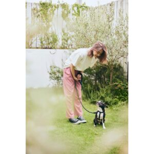 Miki Yanagi Instagram - .
そしてドッグウェアにも挑戦しました！
モデルはハルくんに頑張ってもらいました🥰
ヴィーガンレザーを使用しているので、軽くて丈夫です！
＊20㎏までのわんちゃんが使用可能な強度です

ハーネスデビューを考えている方是非☻
