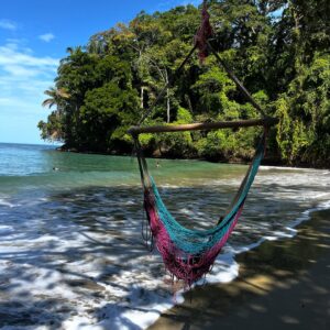 Millie Gibson Instagram - pura vida🥥🪭🦎👙
