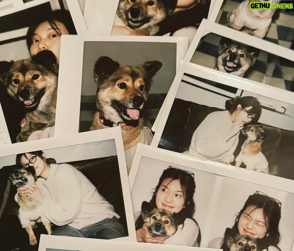 Min-seo Instagram - 쿠마, 꼭 좋은 가족을 만날거야! ♡