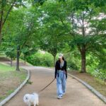 Min Do-hee Instagram - 몽구랑 푸릇푸릇 만끽하기🌱🌿🌳