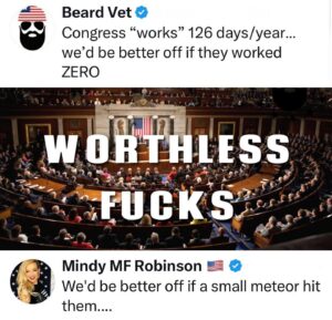 Mindy Robinson Instagram - Rigged elections have consequences, and you're looking right at it...