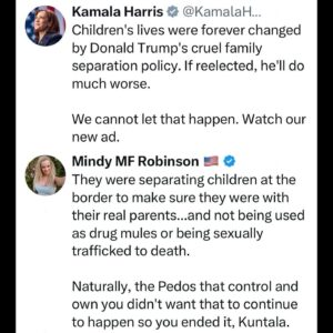 Mindy Robinson Instagram - Find me a person that isn't running a child sex trafficking ring....that *doesn't* think it's a good idea to make sure kids are with their actual parents coming across our border?

I'll wait....
