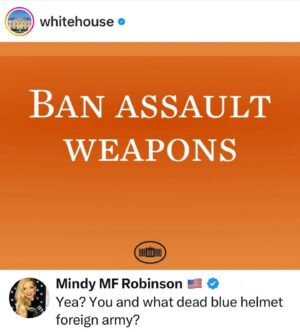 Mindy Robinson Instagram - I'll take "things that'll never fucking happen after the government just got caught trying to medically genocide everyone, start WW3, and make us eat bugs" for $500 Alex.