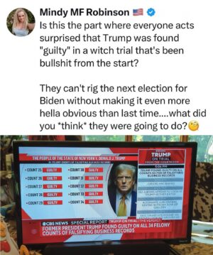 Mindy Robinson Instagram - It's almost like this entire administration is lawless and illegitimate from top to bottom, or something? 🧐