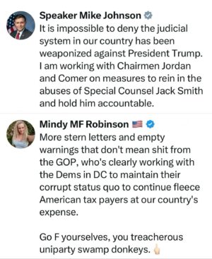 Mindy Robinson Instagram - Funny how both parties aren't doing a damn thing for the American people these days...it's almost like rigged elections are keeping them in their seats and they no longer GAF what any of their voters want, or something. 🧐