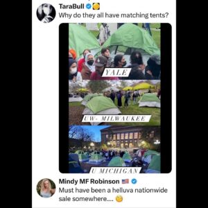 Mindy Robinson Instagram - It is so easy to blow holes through the Deep State's psyops these days, it seems social media isn't quite working out the way these war mongering, SOB's originally planned... 🤣