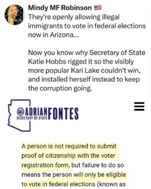 Mindy Robinson Instagram - You can't vote your way out of rigged elections....