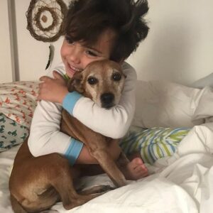 Mini Anden Instagram - Georgie Porgie pudding and pie. ❤️My little peanut. My good boy. 17 years of love. Thank you for your time here with us. We love you so much. See you again baby boy #rainbowbridge ❤️🌈🕊️#foreverinourhearts