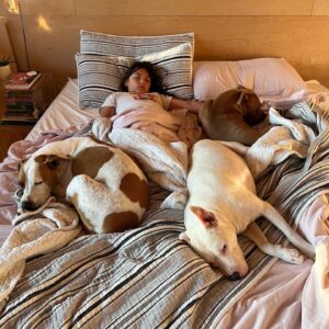 Mini Anden Instagram - LIFE LATELY *me *the daily breakfast line *barn cats being just that *golden boy moment *a full bed *4th of July squirt gun parade *house progress *lots of kisses and *some nice asses to round it up 😜#onthefarm