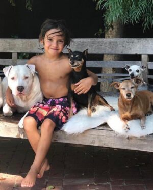Mini Anden Instagram - Yesterday we said goodbye to our beautiful Gerty. For 18 years she graced us with her sweet, sassy presence. We love you Trudes. See you at the #rainbowbridge sweet mama. #foreverinourhearts We’ll always have Paris ❤️