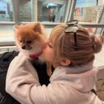 Mirai Yokoda Instagram - 最近夜景とか静かなとこで散歩するの本当に落ち着く アロともお散歩いっぱい🐕‍🦺