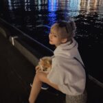 Mirai Yokoda Instagram - 最近夜景とか静かなとこで散歩するの本当に落ち着く アロともお散歩いっぱい🐕‍🦺