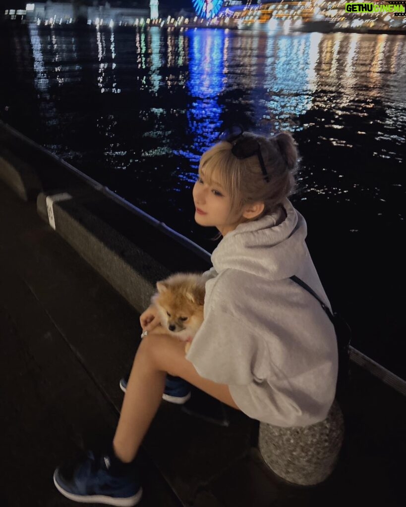 Mirai Yokoda Instagram - 最近夜景とか静かなとこで散歩するの本当に落ち着く アロともお散歩いっぱい🐕‍🦺