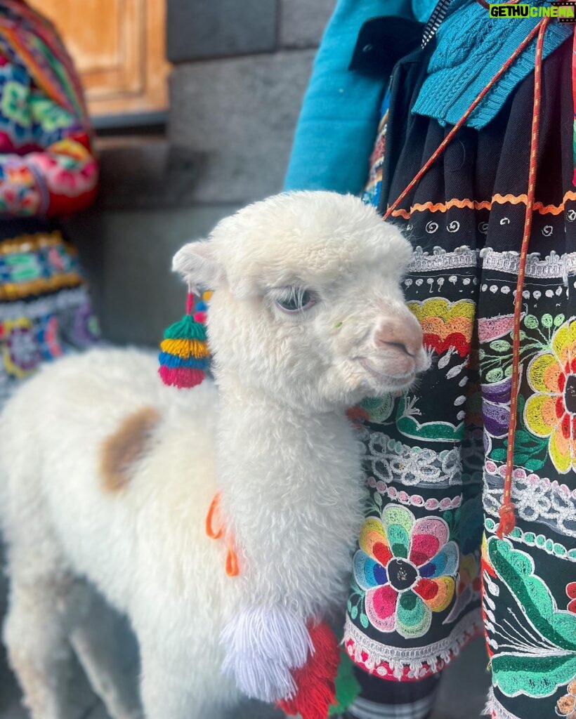 Miriam Saavedra Instagram - todo empezó con un buen mate de coca 🙌🏻 me despido de ti cusco hasta pronto!!!! Llena de hermosas emociones y recargada de tanta fortaleza 🙌🏻 gracias por confirmar lo valioso que es nuestro hermoso Peru ☀️🩸 el imperio inca te recuerda practicar estos valores : “El hatum ama sua, ama llula, ama quella” ❤️