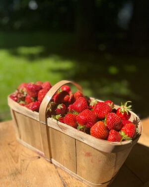 Mirianne Brûlé Instagram - Photo dump du Québec ❤️ incluant beaucoup de moments qui me rendent heureuse 🙂 #quebec #summer #family #friends #chalet #moments #racines #fraises #camerises #terrasse #vino #bbq #lac #montreal #city
