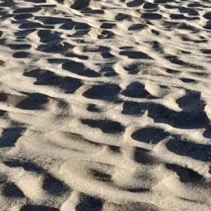 Mirta Wons Instagram - En modo vacaciones despunto el vicio de sacar fotos. 
.
Ella 
Mi amigo el mar
Huellas
Lo que divide o lo que une
Vietnam?
Vogue 
Cuando una piña no es una granada 
Hay alguien ahi?
Esha otra vez
.
.
La vida es más que una moneda
.
.