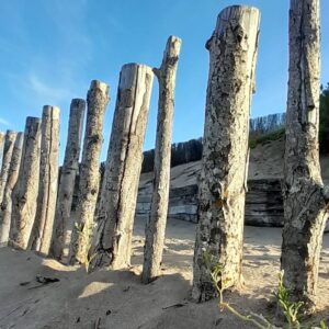 Mirta Wons Instagram - En modo vacaciones despunto el vicio de sacar fotos. 
.
Ella 
Mi amigo el mar
Huellas
Lo que divide o lo que une
Vietnam?
Vogue 
Cuando una piña no es una granada 
Hay alguien ahi?
Esha otra vez
.
.
La vida es más que una moneda
.
.