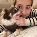 Misa Eto Instagram - ⁡ ⁡ 舌ペロぷっぷ🐶 いつも君の優しさに救われてるよ ⁡ #もうすぐトリミング #誕生日は4月6日 #チワワ男の子 ⁡