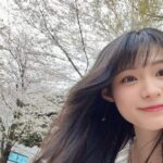 Mizuki Hoshina Instagram - 桜の日🌸 散った花びらも綺麗🌸