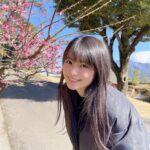 Mizuki Hoshina Instagram - はじめての鹿児島県🌸 #仙巌園 からの#桜島 ⛰ 桜と梅が満開🥰 もうすぐ春です🌸