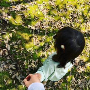 Moga Mogami Instagram - 🌱🌼🌲