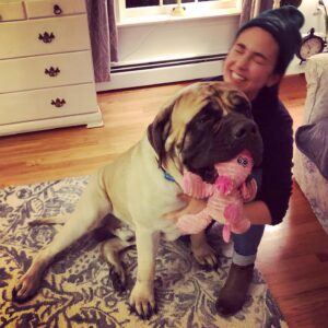 Molly Ephraim Instagram - Forget “Elf on a Shelf”... I’m “Spastic ‘hind a Mastiff” 😎😎😎😎😎