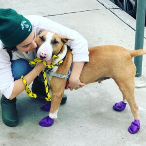 Molly Ephraim Instagram - Baby’s got Boot