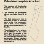 Mona Chalabi Instagram – These repeated attacks on medical facilities “should be investigated as war crimes” according to Human Rights Watch.