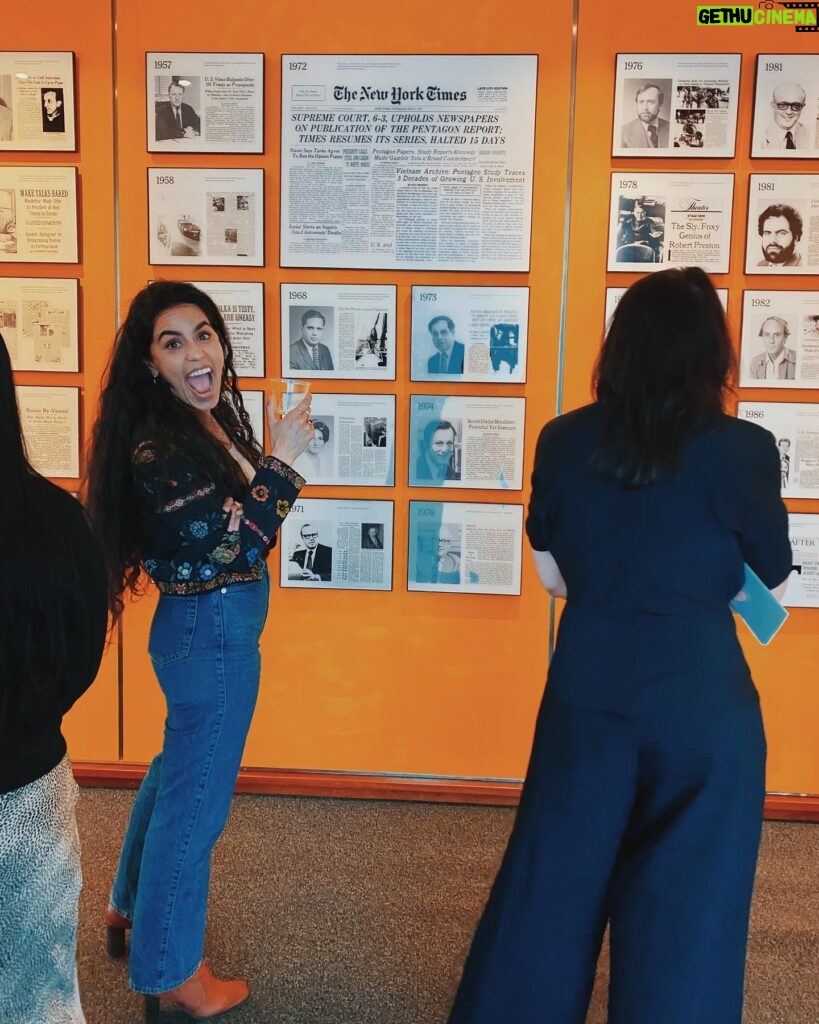 Mona Chalabi Instagram - we did it a ridiculously talented and wonderful team made this possible - I'm so grateful to every single one of you @kate_larue, @gailbichler, @annie76828, @clauisru, @vescobar.studio, @adriennegreen_, @willystaley, Steven Stern, Christian Smith & Jake Silverstein. I worked on this piece in the darkest of winters when my heart was utterly broken. Loved ones stayed by my side, unrelentingly. My gratitude overtakes my pride. xx
