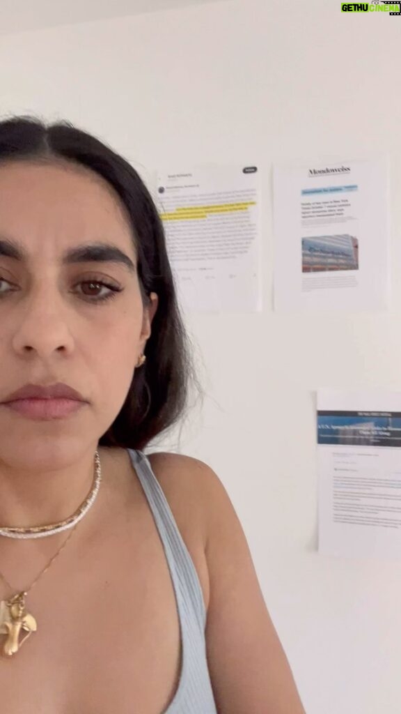 Mona Chalabi Instagram - These articles have been used to support Israel’s genocide in Gaza. They were written by biased sources. Sources: Jeremy Scahill at the Intercept, James North at Mondoweiss, Corbin Bollies at The Daily Beast, the United Nations and @zei_squirrel on Twitter