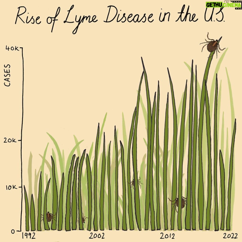 Mona Chalabi Instagram - A little guide to help you through tick season… Lyme disease cases have more than doubled over the past 30 years. Before you get too stressed out by that increase, some of it is just down to better public knowledge about Lyme disease and doctors getting better at diagnosing it (although it's still too hard for a lot of people to have their symptoms taken seriously, especially women and people of color). The CDC has a really good list of advice for people in tick heavy states (New Jersey, New York, Pennsylvania) like using 0.5% permethrin and checking your body for ticks when you get home. Source: Centers for Disease Control and Prevention. The seasonality chart is based on data from 2008 to 2021 #lymedisease