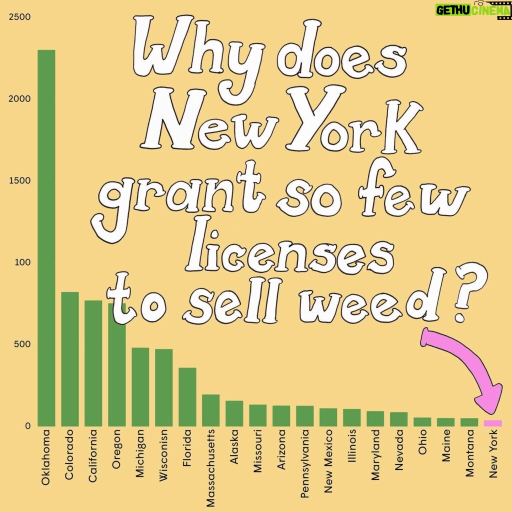 Mona Chalabi Instagram - Take a look at New York, where weed is skanky and sometimes dangerous. This month, the state's cannabis control board voted to expand license applications to everyone. This is why they did it… (I’m trying a new style of explaining outliers for @guardian)