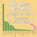 Mona Chalabi Instagram - Take a look at New York, where weed is skanky and sometimes dangerous. This month, the state's cannabis control board voted to expand license applications to everyone. This is why they did it… (I’m trying a new style of explaining outliers for @guardian)